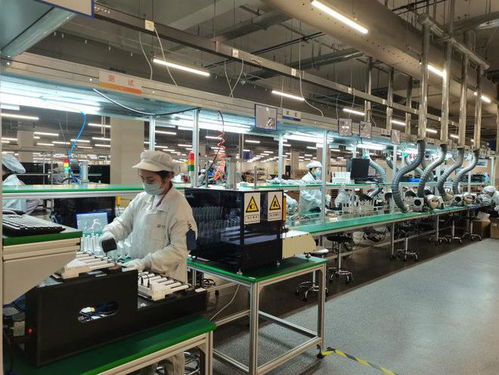 兩江新區軟件和信息服務業加速復工復產，信息服務業務迎來新發展